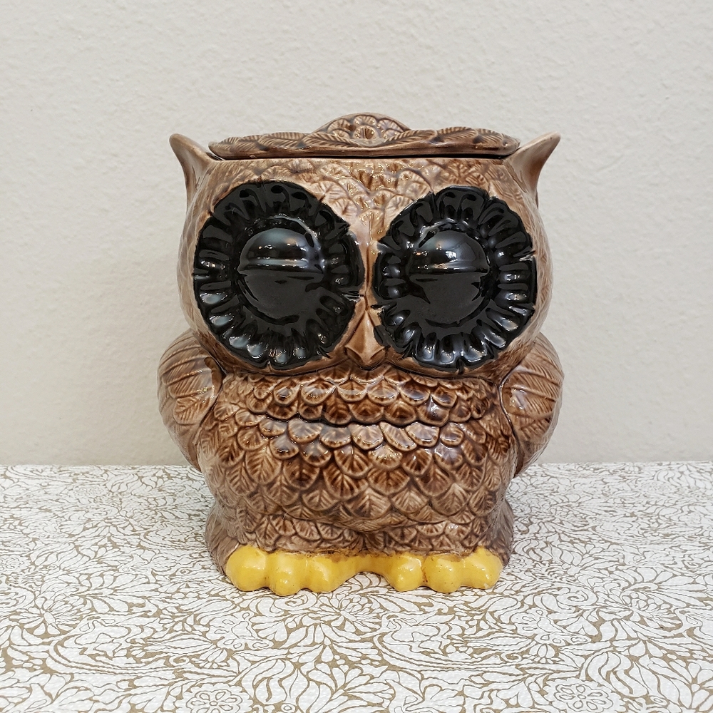 Vintage 1979 Pansy Ceramic Brown Owl Cooki…